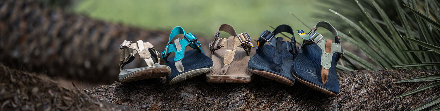 Banner image showing different Lems styles in nature.
