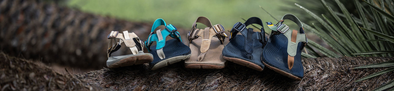 Spring 2025 New Product Releases
