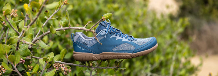 How Lems Prioritizes Sustainability and Eco-Friendly Materials