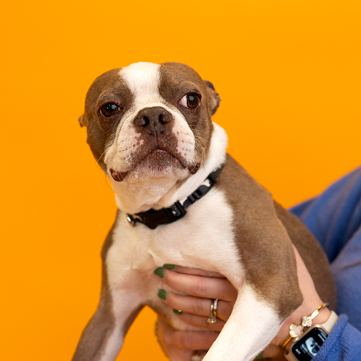 Stefan Hartwig - Founder & Chief Creative Officer